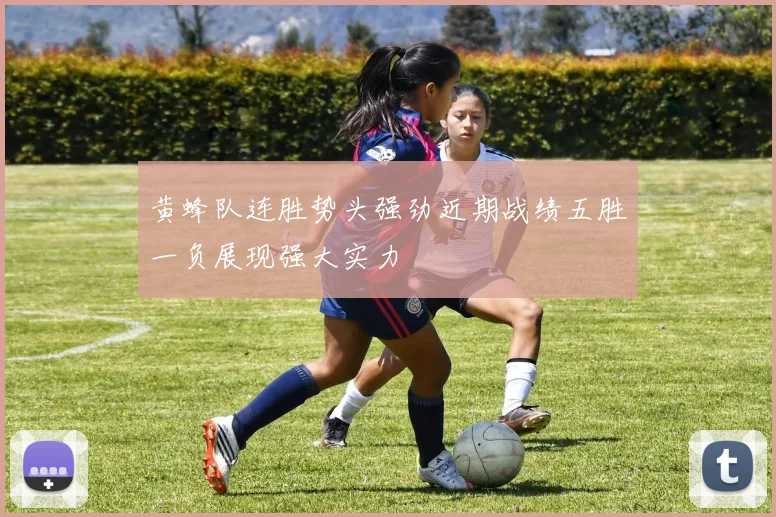 黄蜂队连胜势头强劲近期战绩五胜一负展现强大实力