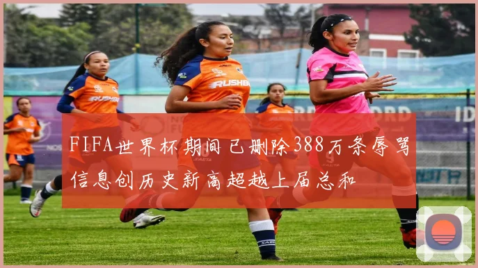 FIFA世界杯期间已删除388万条辱骂信息创历史新高超越上届总和