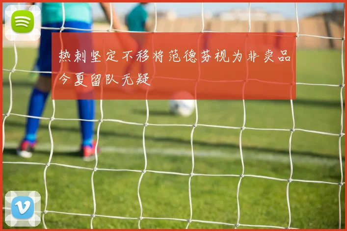 热刺坚定不移将范德芬视为非卖品今夏留队无疑